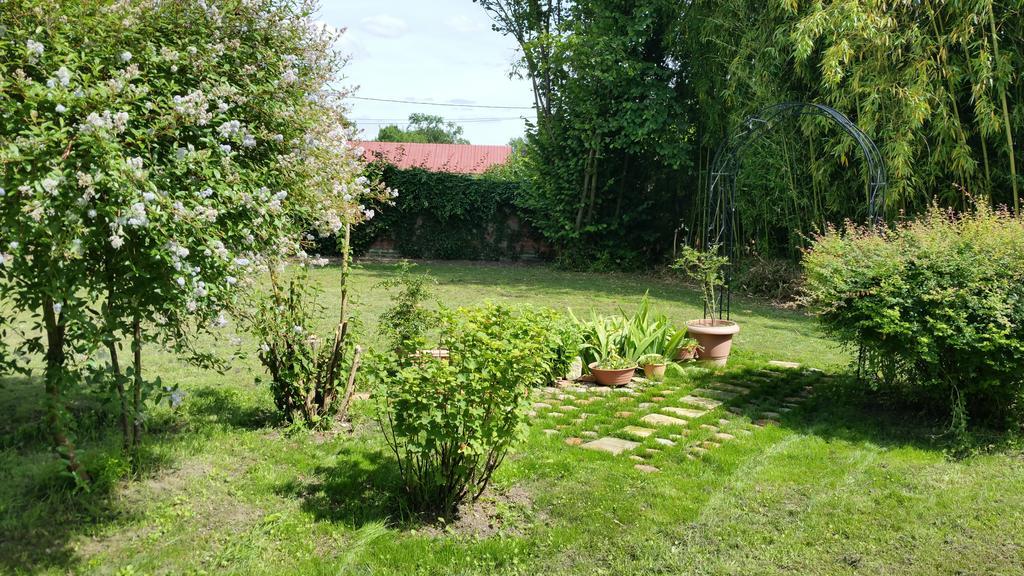 Le Gite De Laurence Villa Sainte-Liviere Exteriör bild